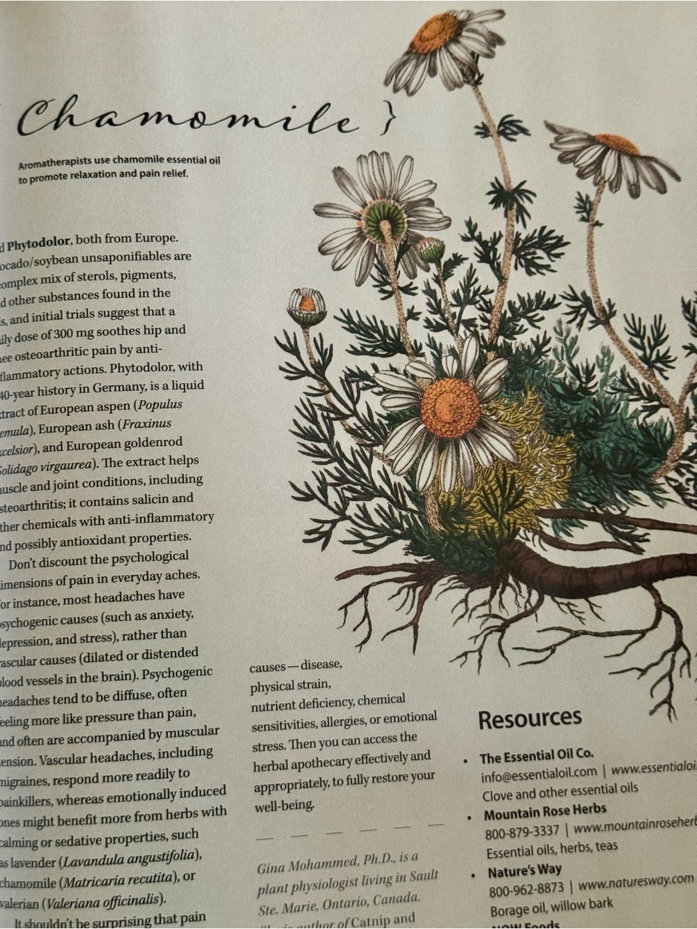 Mother Earth News Magazine Collector Series 2025 Grow Cook Heal with Herbs - Picture 7 of 14